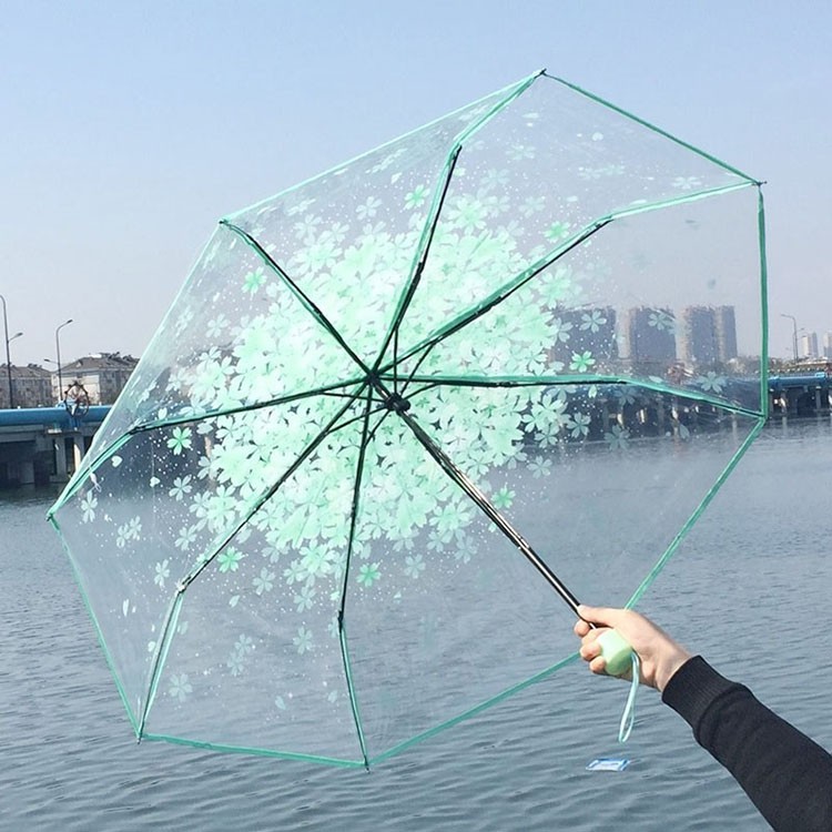 Transparent Sakura Blossom Umbrella |কোরিয়ান স্টাইল চেরি ব্লসম ছাতা